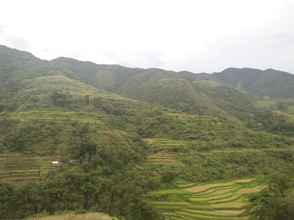 Banaue Sunrise Guest House Eksteriør bilde